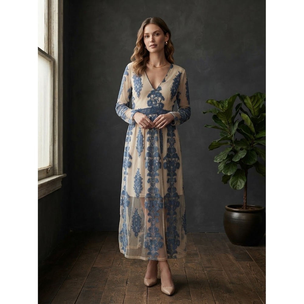 A Beautiful Sou Sheer Floral Embroidered Mesh Maxi Dress V-Neck Long Sleeve 1X